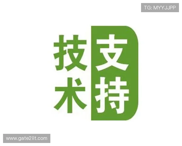 凯发网娱乐官方网站的技术支持团队与平台稳定性提升措施